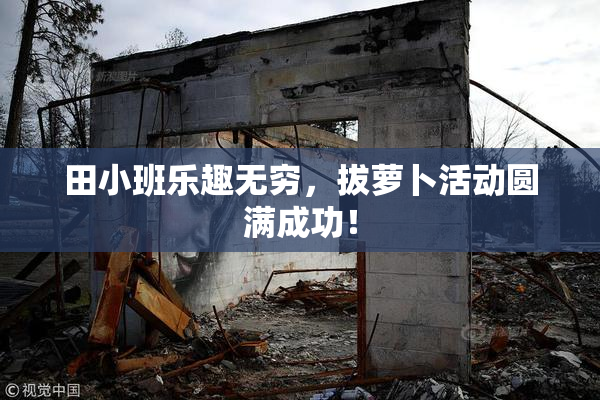 田小班乐趣无穷，拔萝卜活动圆满成功！