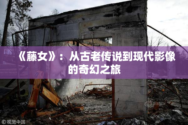 《藤女》：从古老传说到现代影像的奇幻之旅