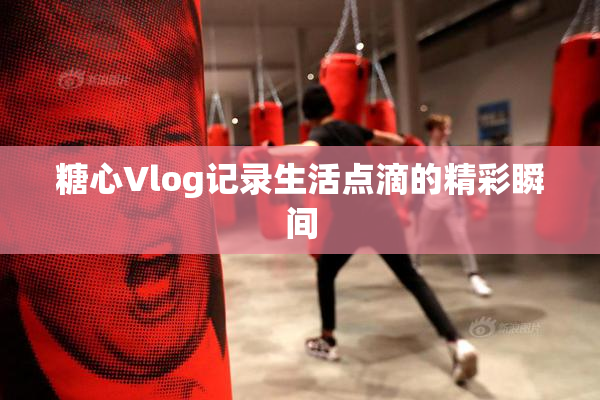 糖心Vlog记录生活点滴的精彩瞬间