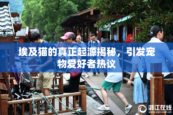 埃及猫的真正起源揭秘，引发宠物爱好者热议
