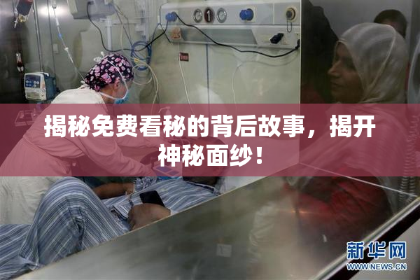 揭秘免费看秘的背后故事，揭开神秘面纱！