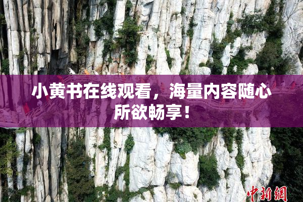 小黄书在线观看，海量内容随心所欲畅享！