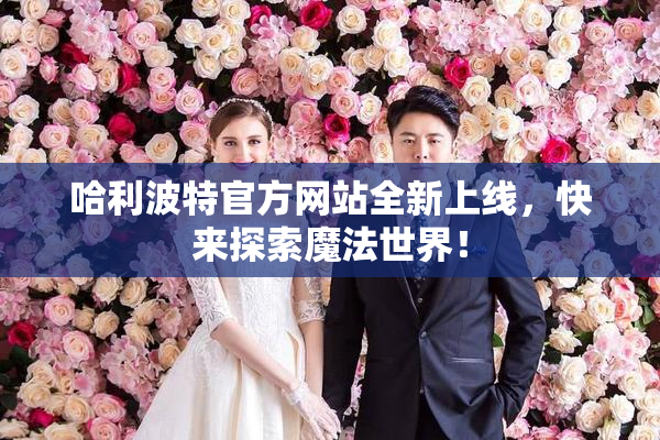 哈利波特官方网站全新上线，快来探索魔法世界！