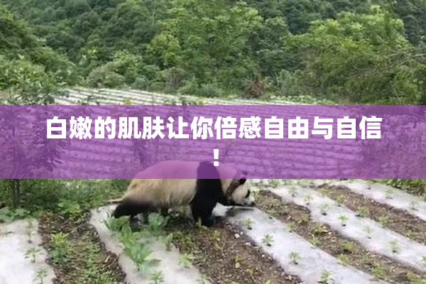 白嫩的肌肤让你倍感自由与自信！