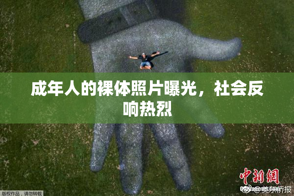 成年人的裸体照片曝光，社会反响热烈