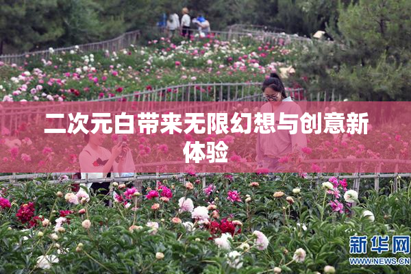 二次元白带来无限幻想与创意新体验