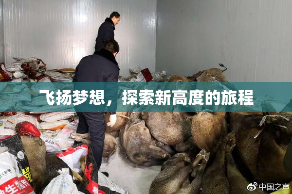 飞扬梦想，探索新高度的旅程
