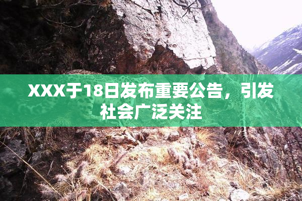 XXX于18日发布重要公告，引发社会广泛关注