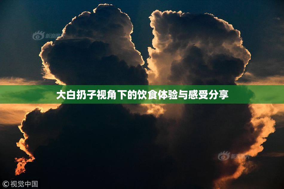 大白扔子视角下的饮食体验与感受分享