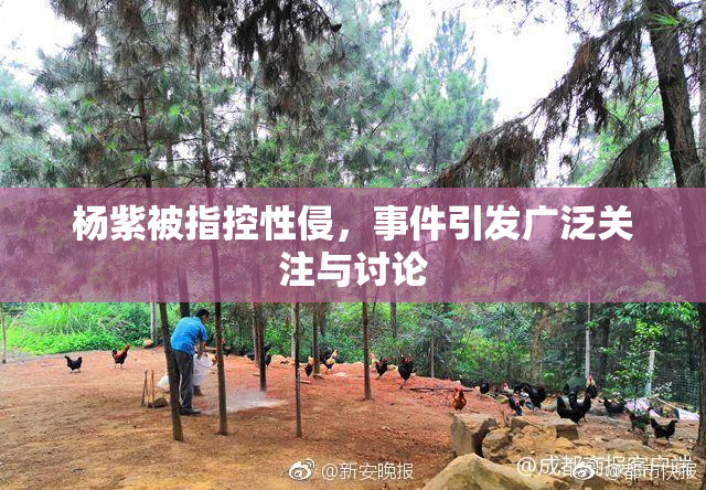 杨紫被指控性侵，事件引发广泛关注与讨论