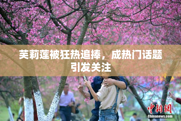 芙莉莲被狂热追捧，成热门话题引发关注