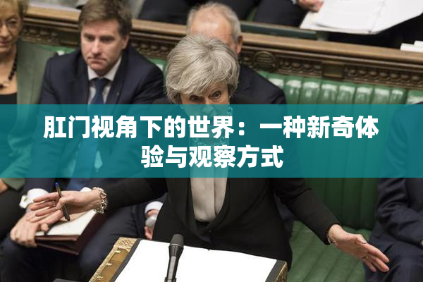 肛门视角下的世界：一种新奇体验与观察方式