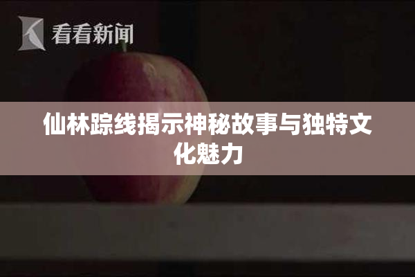 仙林踪线揭示神秘故事与独特文化魅力