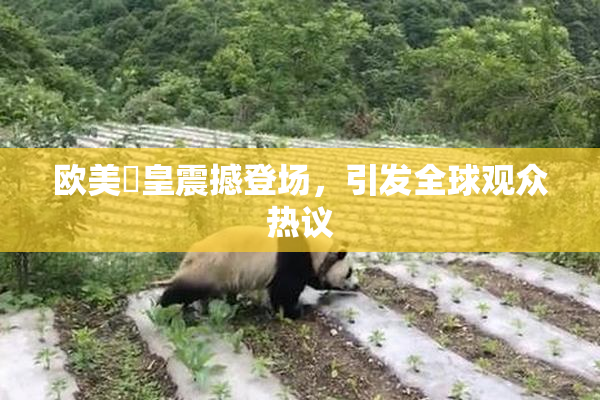 欧美嘼皇震撼登场，引发全球观众热议