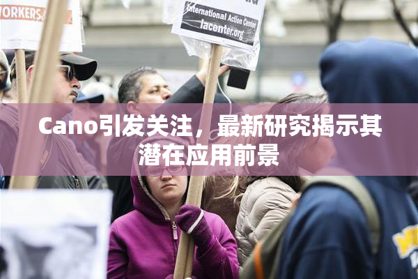 Cano引发关注，最新研究揭示其潜在应用前景