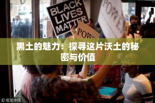 黑土的魅力：探寻这片沃土的秘密与价值