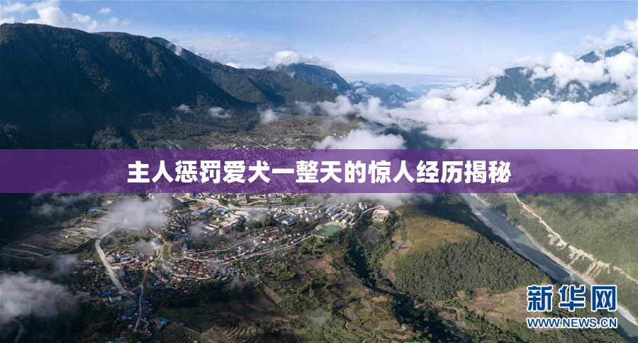 主人惩罚爱犬一整天的惊人经历揭秘
