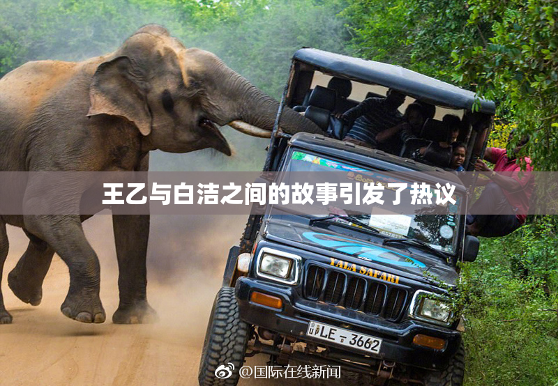 王乙与白洁之间的故事引发了热议