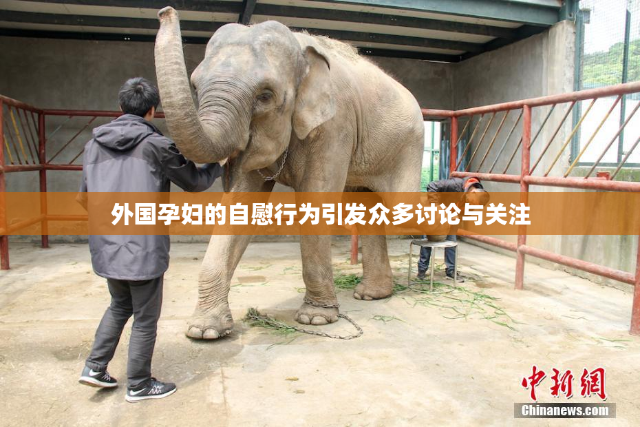 外国孕妇的自慰行为引发众多讨论与关注