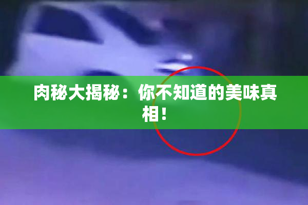 肉秘大揭秘：你不知道的美味真相！