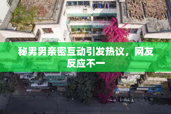 秘男男亲密互动引发热议，网友反应不一