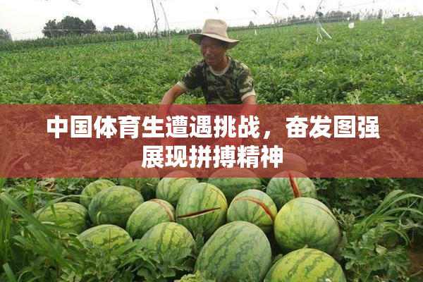 中国体育生遭遇挑战，奋发图强展现拼搏精神