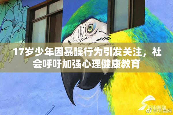 17岁少年因暴躁行为引发关注，社会呼吁加强心理健康教育