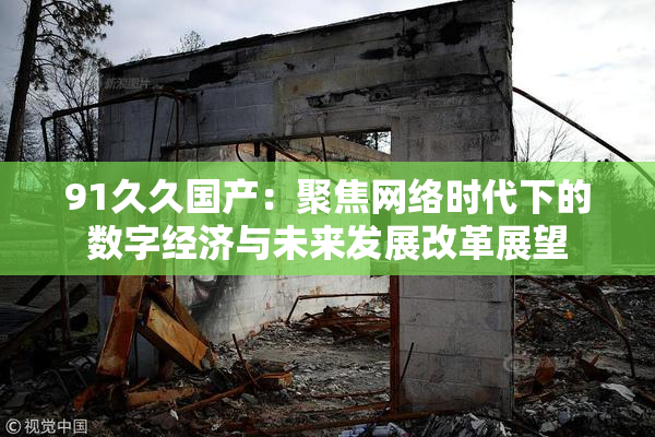 91久久国产：聚焦网络时代下的数字经济与未来发展改革展望