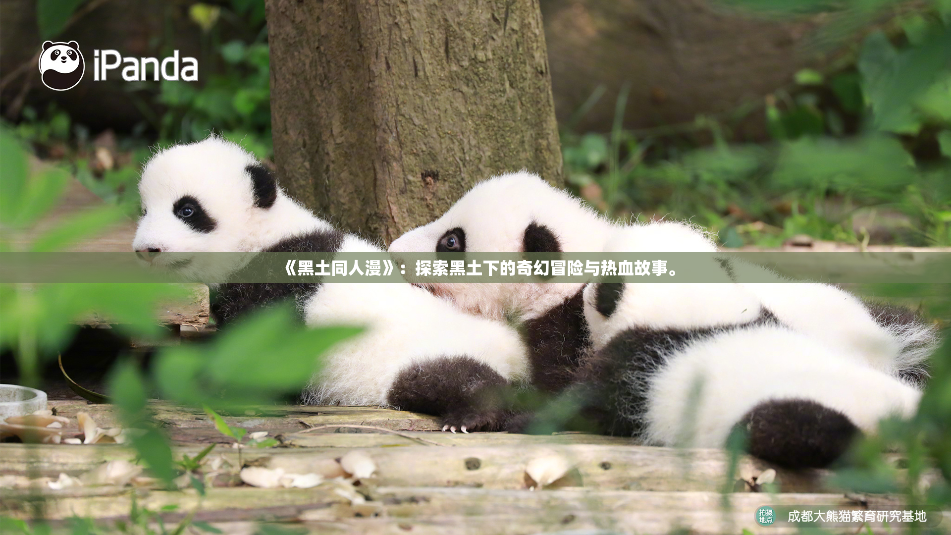 《黑土同人漫》：探索黑土下的奇幻冒险与热血故事。