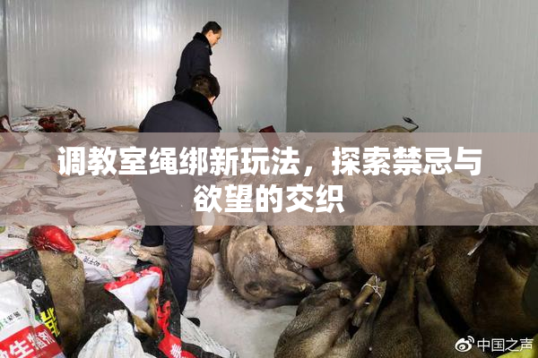 调教室绳绑新玩法，探索禁忌与欲望的交织