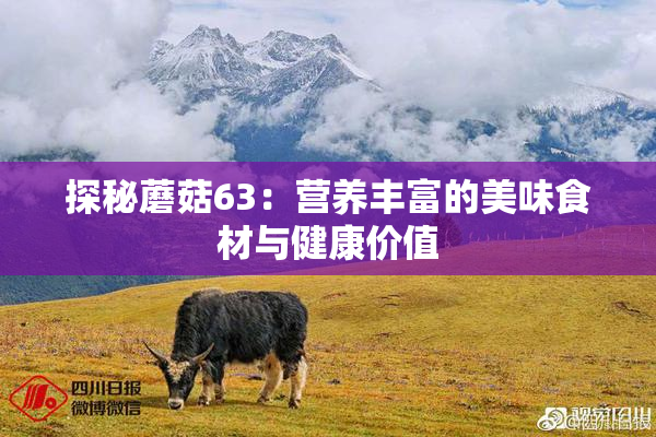 探秘蘑菇63：营养丰富的美味食材与健康价值