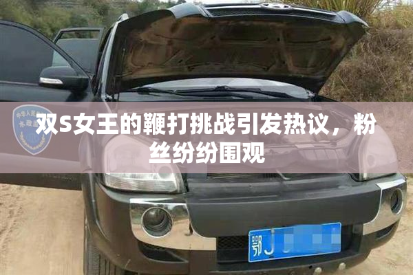 双S女王的鞭打挑战引发热议，粉丝纷纷围观
