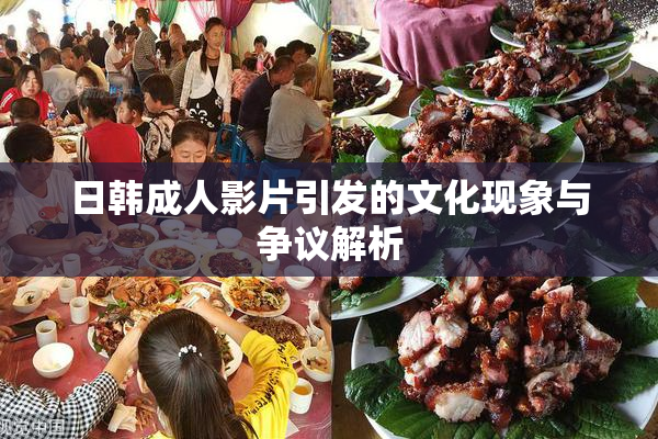 日韩成人影片引发的文化现象与争议解析