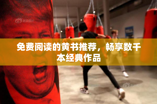 免费阅读的黄书推荐，畅享数千本经典作品