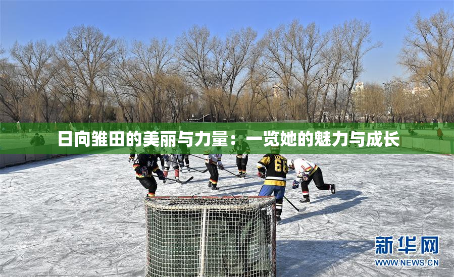 日向雏田的美丽与力量：一览她的魅力与成长