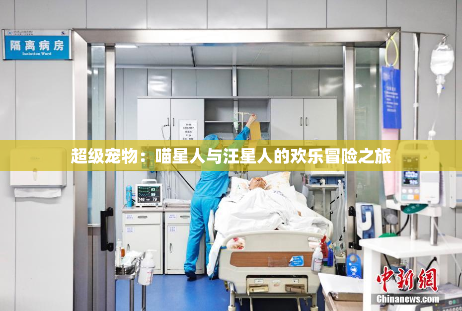 超级宠物：喵星人与汪星人的欢乐冒险之旅