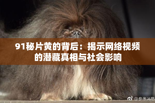 91秘片黄的背后：揭示网络视频的潜藏真相与社会影响