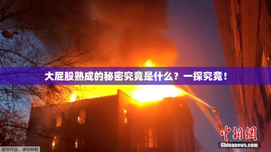 大屁股熟成的秘密究竟是什么？一探究竟！