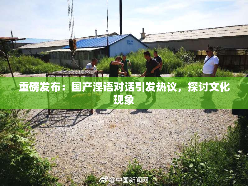 重磅发布：国产淫语对话引发热议，探讨文化现象