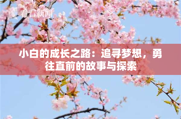 小白的成长之路：追寻梦想，勇往直前的故事与探索
