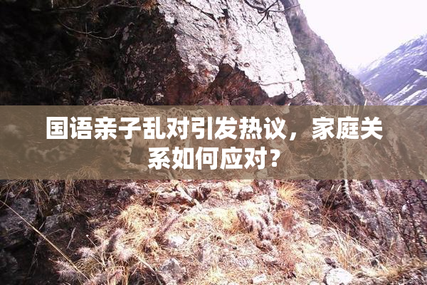 国语亲子乱对引发热议，家庭关系如何应对？