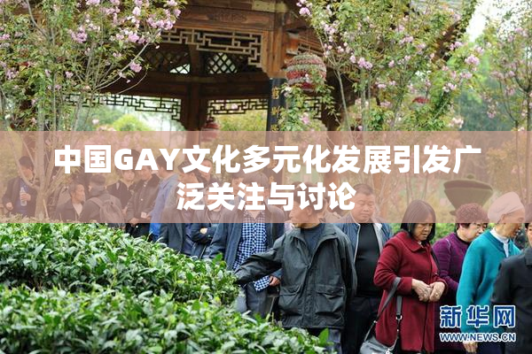 中国GAY文化多元化发展引发广泛关注与讨论