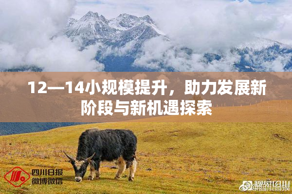12—14小规模提升，助力发展新阶段与新机遇探索