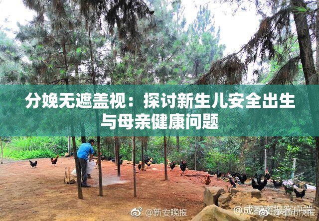 分娩无遮盖视：探讨新生儿安全出生与母亲健康问题