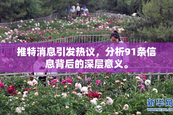 推特消息引发热议，分析91条信息背后的深层意义。
