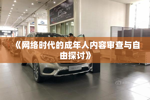 《网络时代的成年人内容审查与自由探讨》