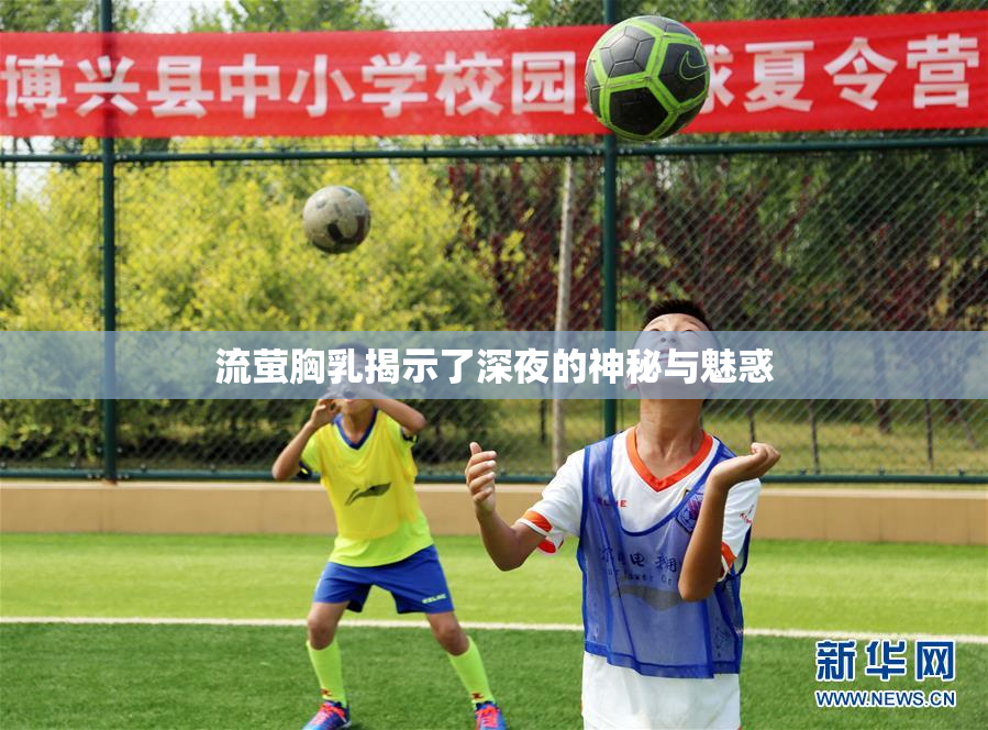流萤胸乳揭示了深夜的神秘与魅惑