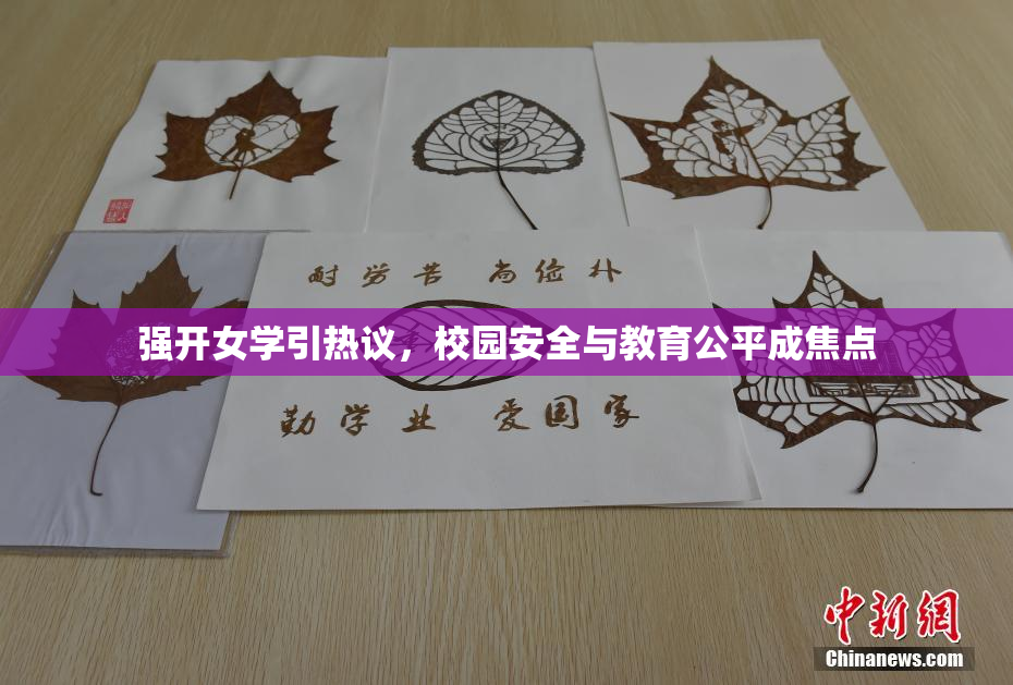 强开女学引热议，校园安全与教育公平成焦点