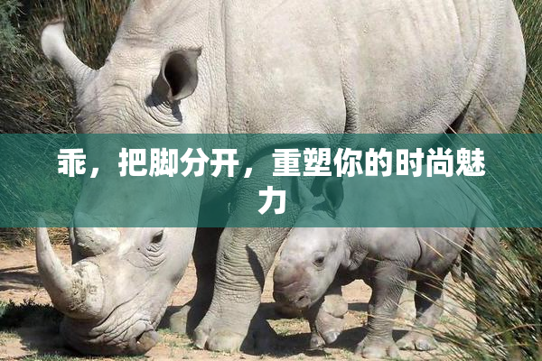乖，把脚分开，重塑你的时尚魅力