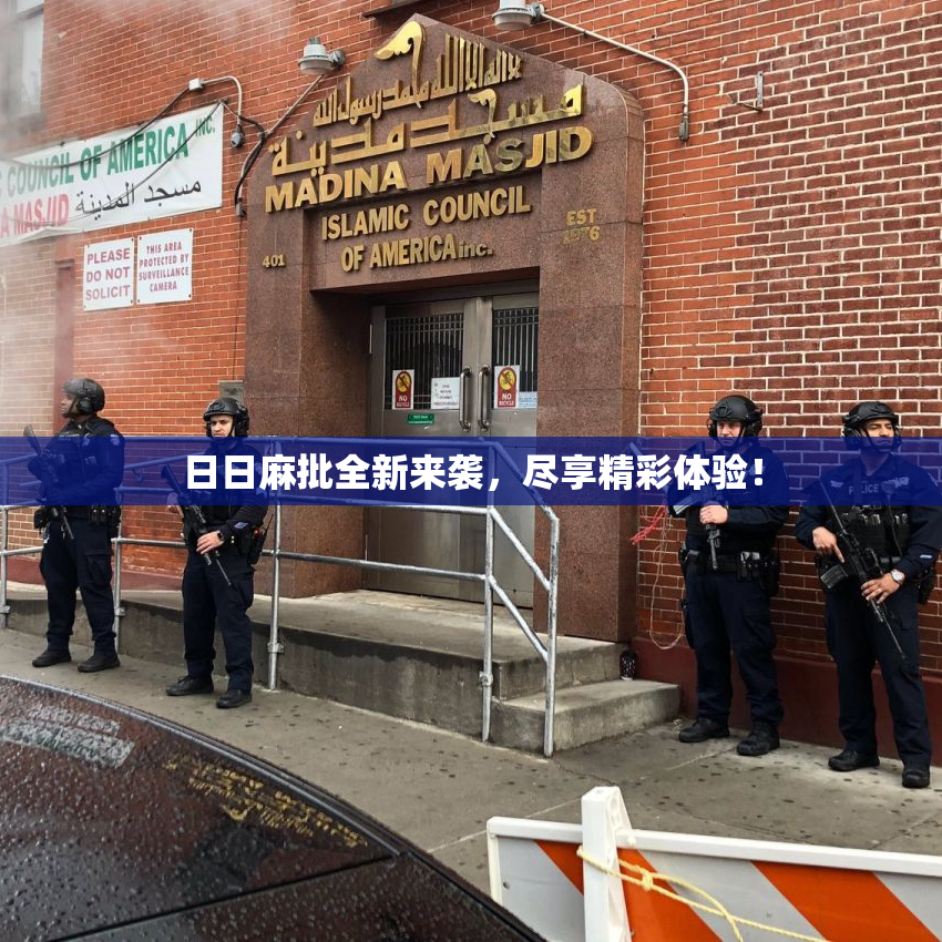 日日麻批全新来袭，尽享精彩体验！